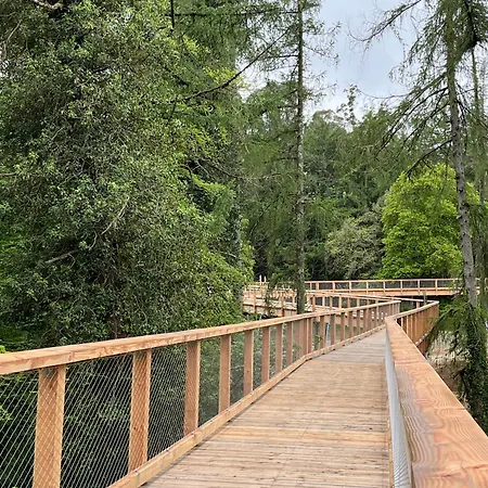 Village No 11 By Trident Homes * Aughrim